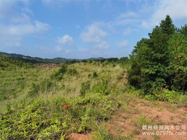 东城区带着徒弟上山学杨公风水现场操作